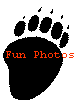 Fun Photos